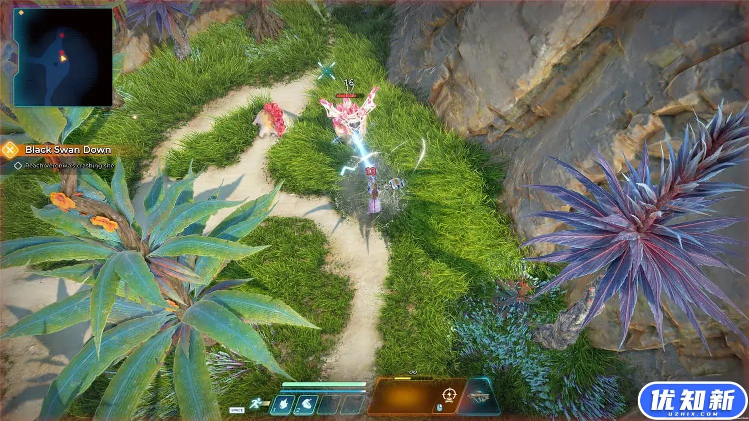 天鹅座企业/Cygnus Enterprises-知新网