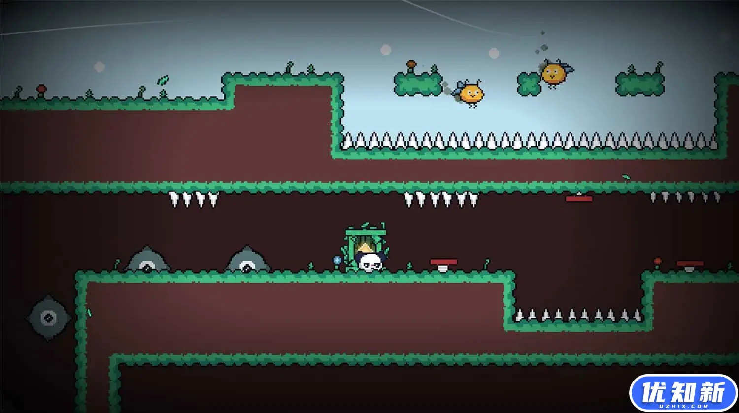 熊猫奇侠/Pandaty-知新网