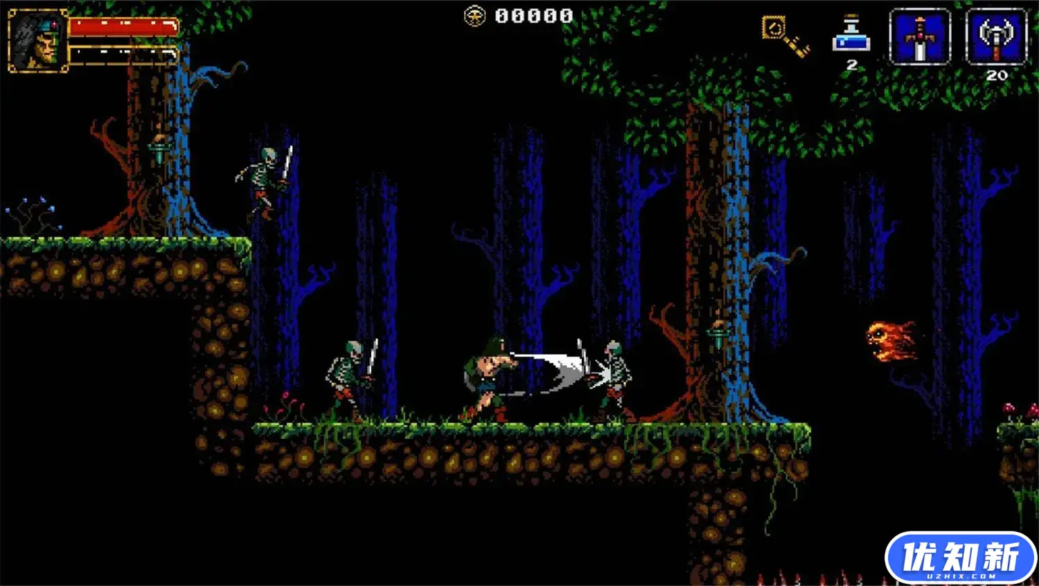 贝荷嘉/Beholgar-知新网