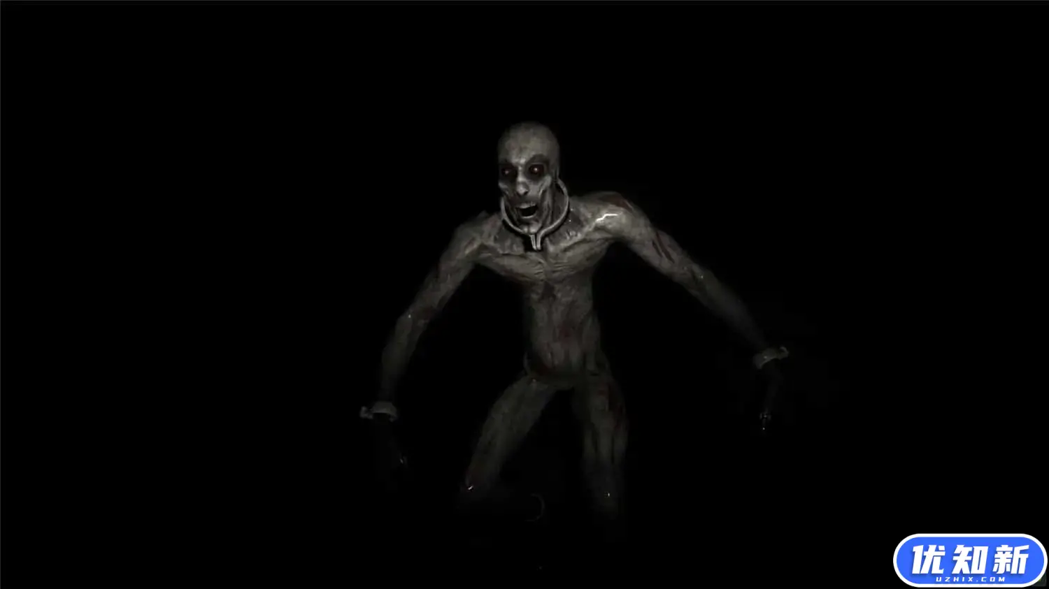 森林内的恐怖/Horror inside the forest-知新网