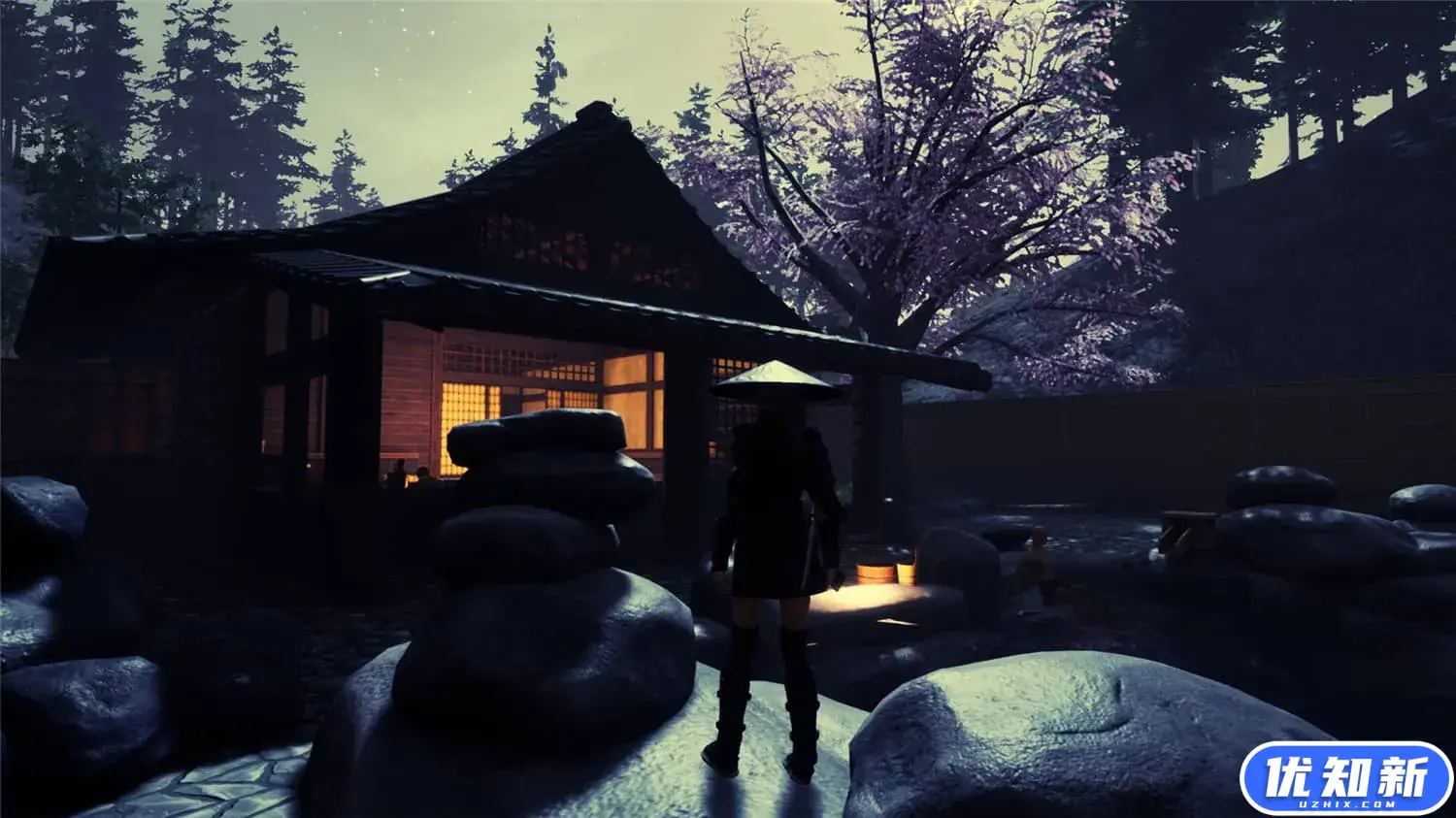 忍者传:三好家的陨落/Tale of Ninja: Fall of the Miyoshi-知新网