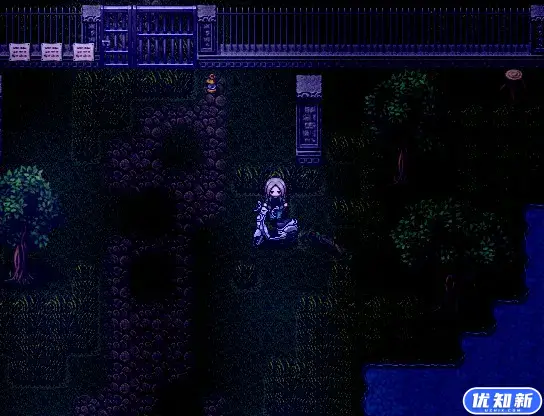 盒子里的猫咪/Cat in the Box-知新网