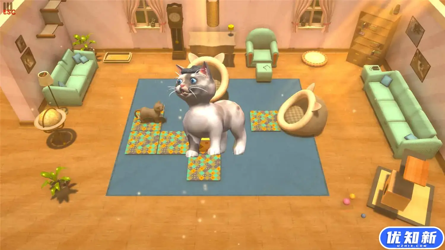 小猫咪咪:一起喵喵/Mimi the Cat - Meow Together-知新网