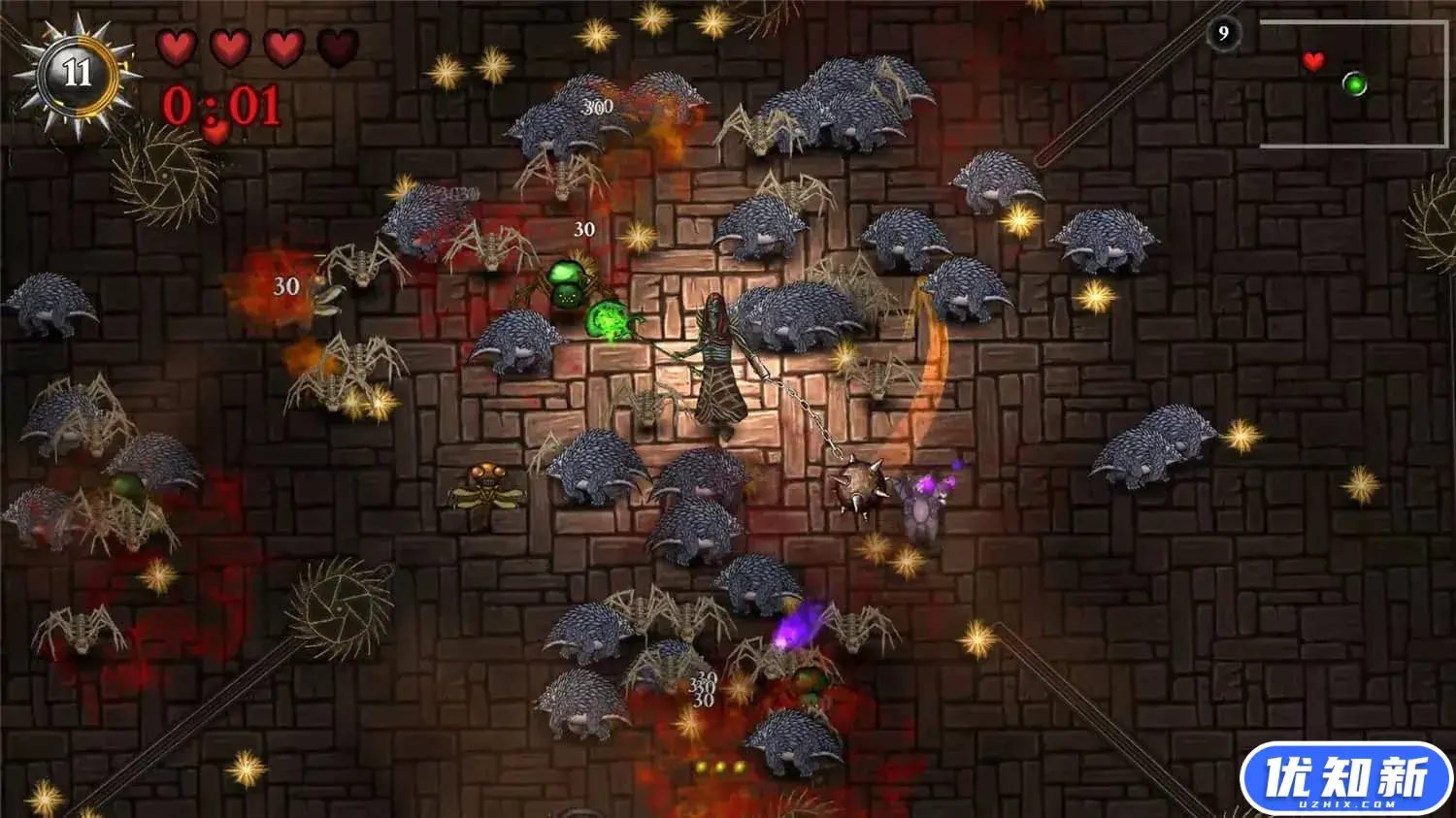 争取光明:生存之战/Striving for Light: Survival-知新网