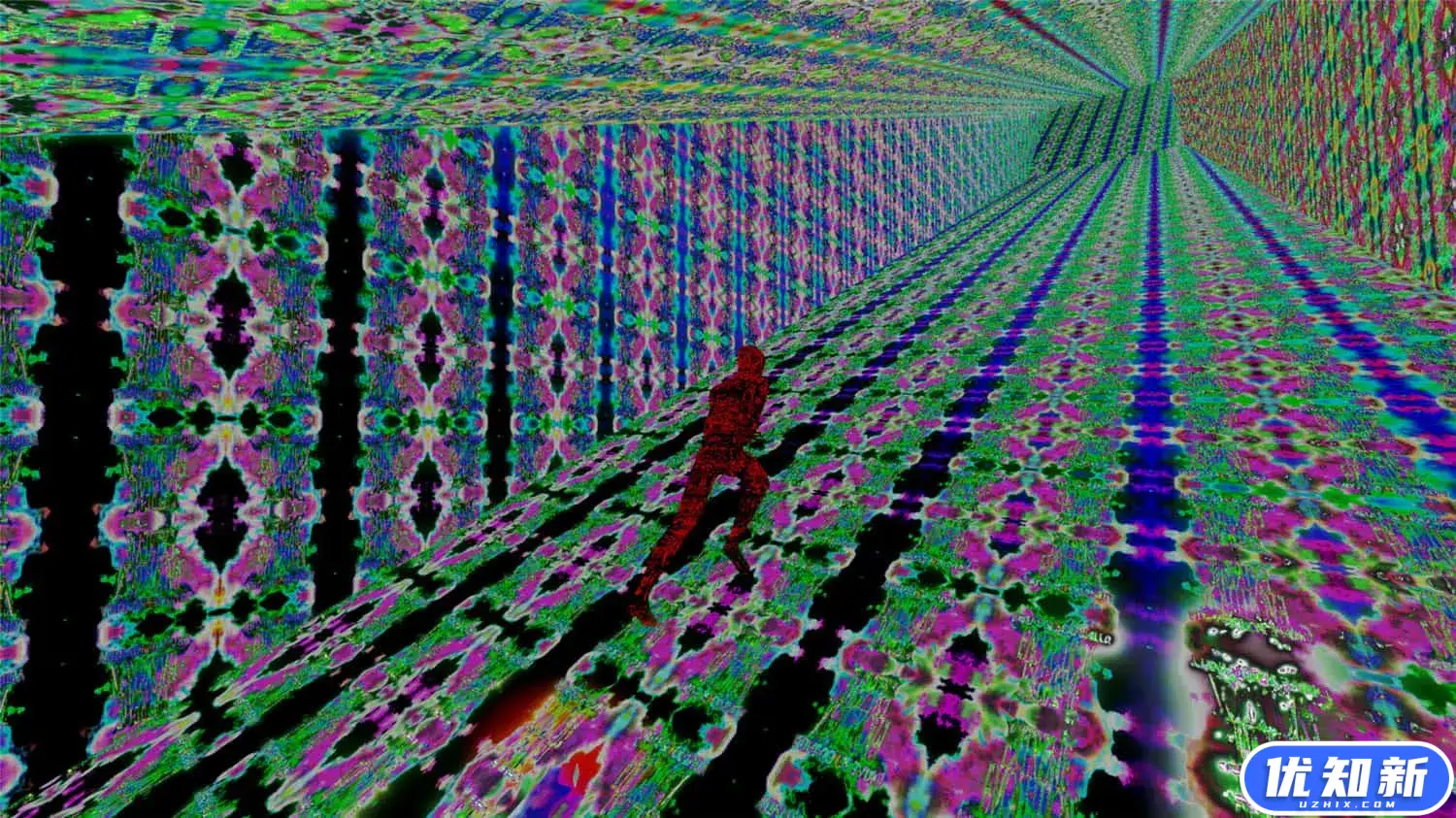 极限进化：驶向神性/Extreme Evolution: Drive to Divinity-知新网