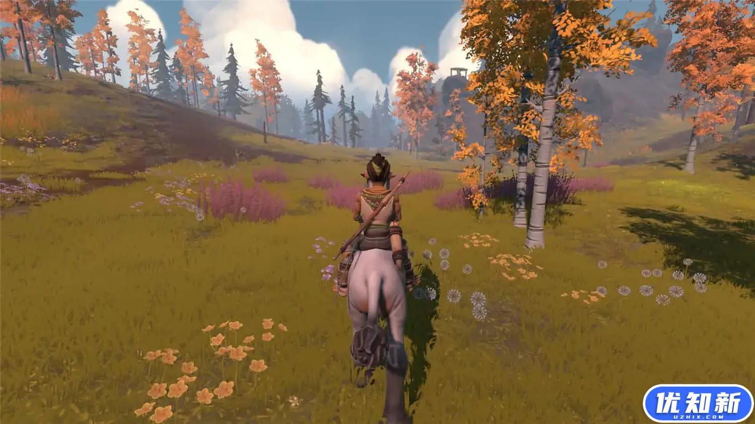 松树/Pine-知新网