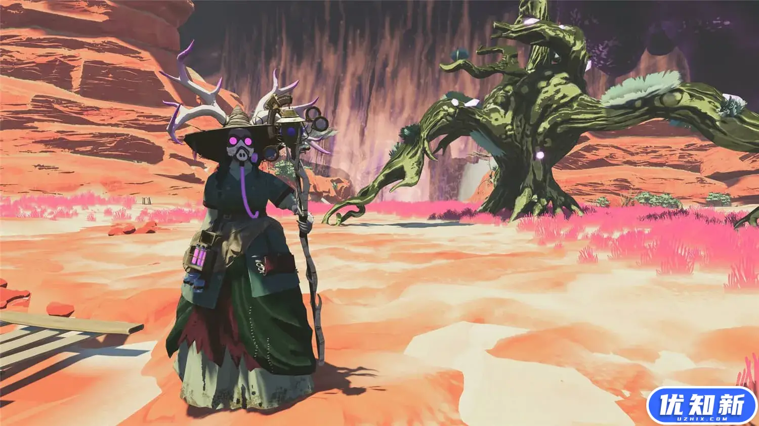 家园阿卡纳/Homestead Arcana-知新网