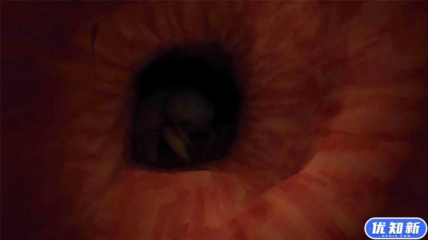 大肠的复仇/Revenge Of The Colon-知新网