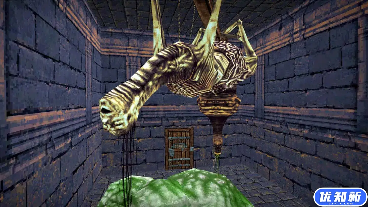 恐惧幻觉/Dread Delusion-知新网