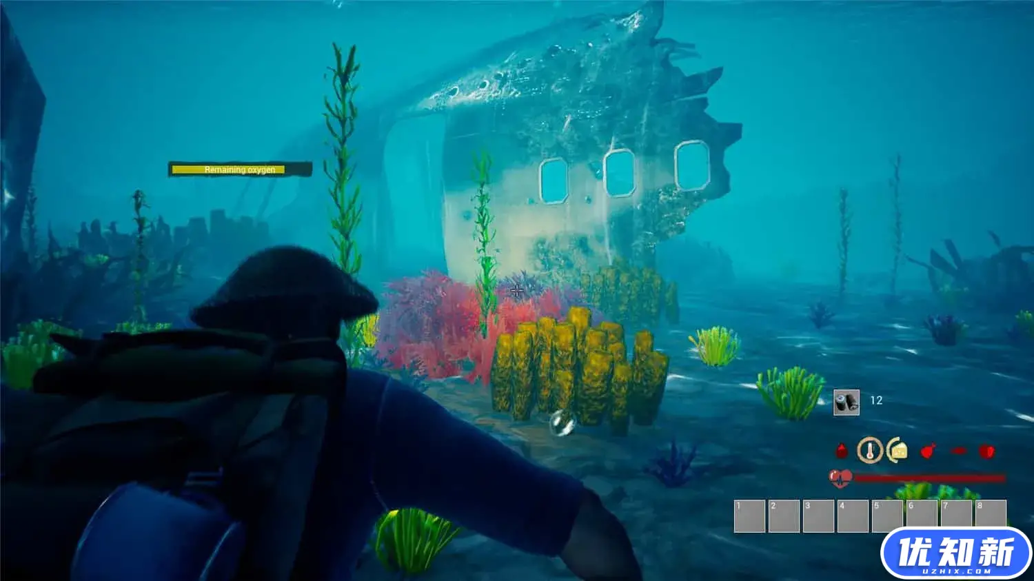 红贝雷帽/The Red Beret-知新网