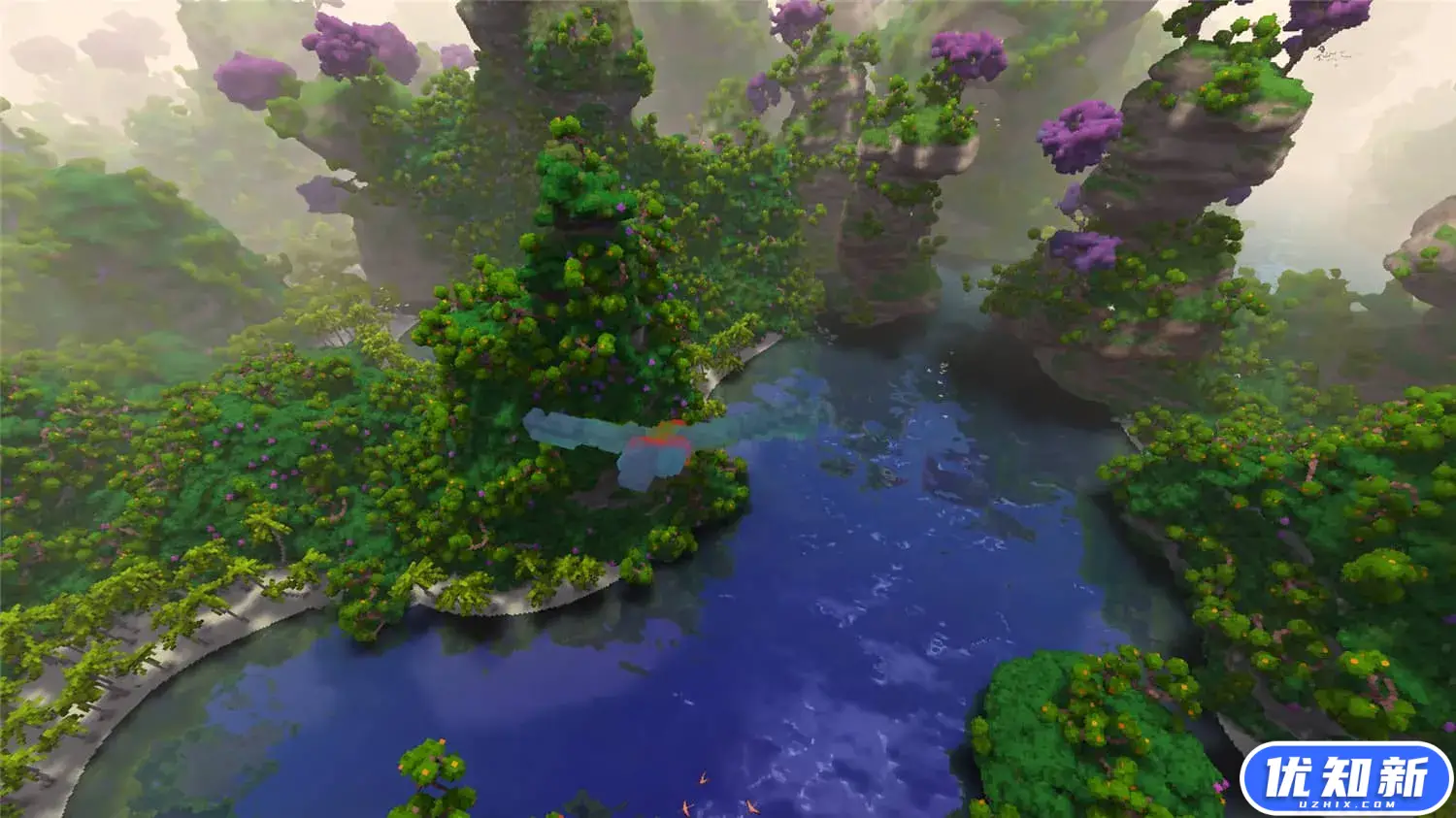 飞鸟/Fugl-知新网