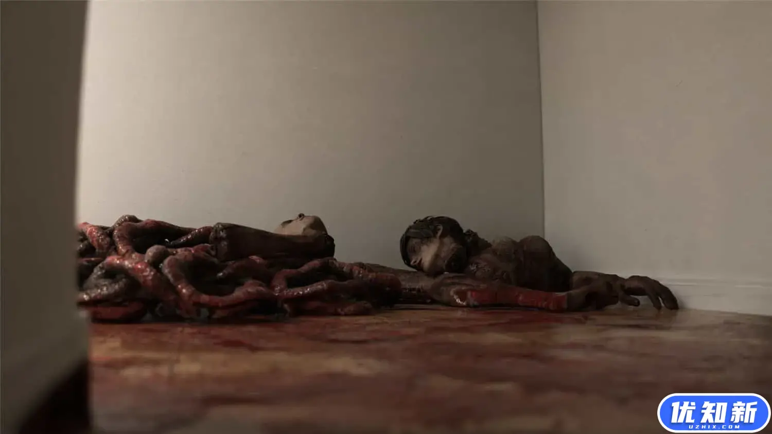 超自然/Supernatural-知新网